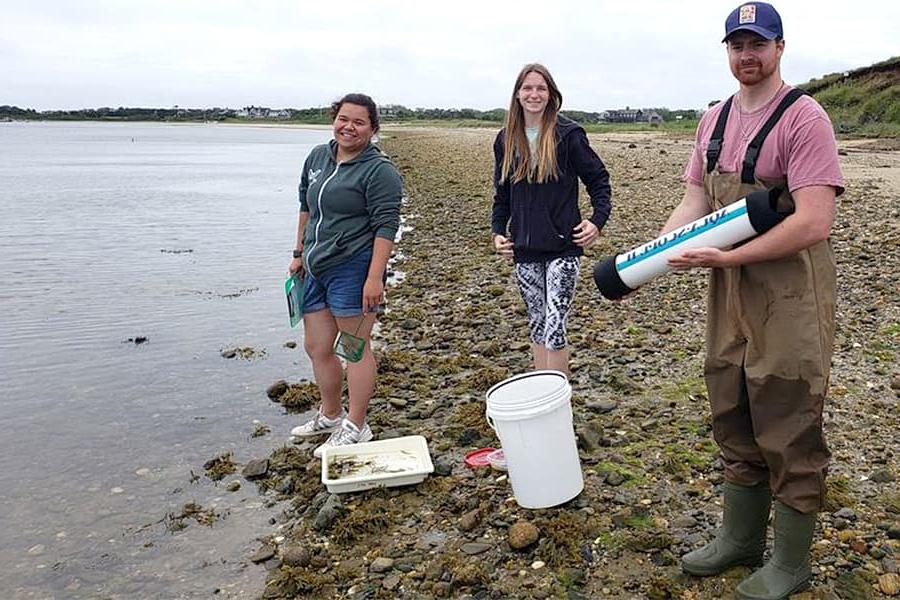 3 students with buckets on the beach on Nantucket.